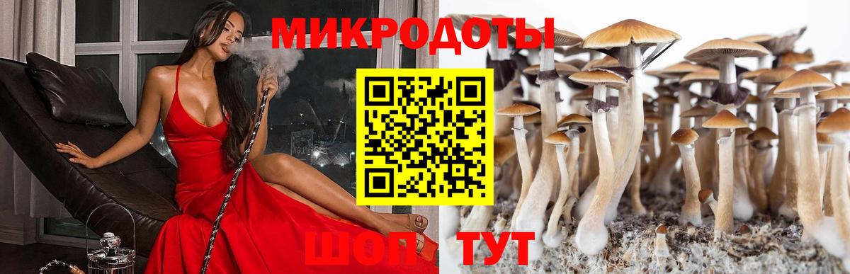 Псилоцибиновые грибы Psilocybine cubensis Асбест